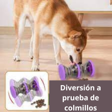 Juego Interactivo Para mascotas