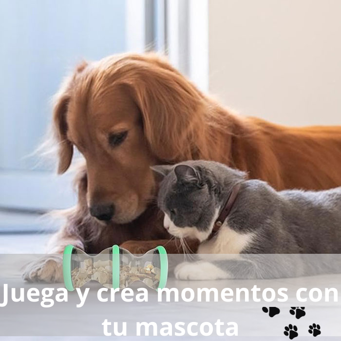 Juego Interactivo Para mascotas